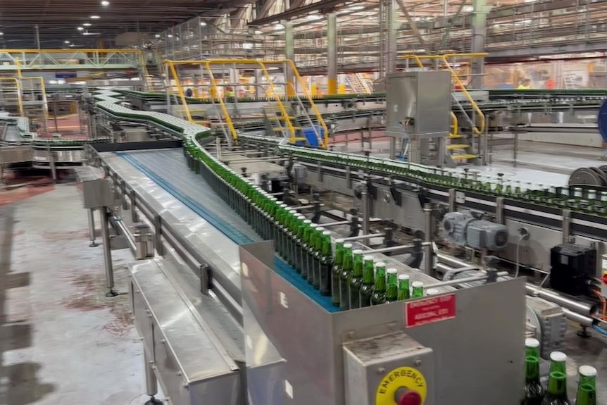 A factory showing beer bottles on a production line. The line of bottles disappears in to the distance.