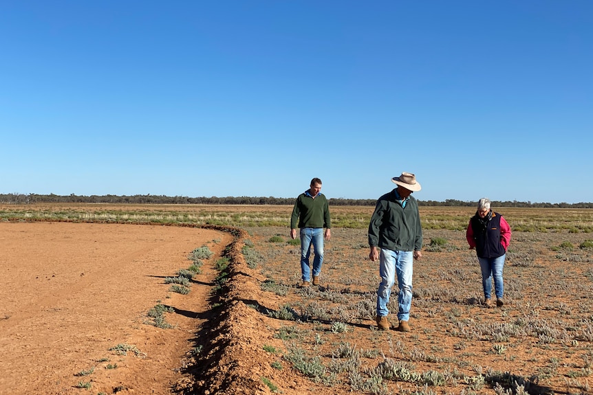 Three people looking at the pasture recovery in a paddock