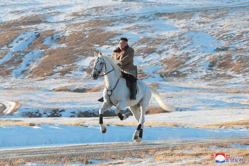 Kim on horse galloping