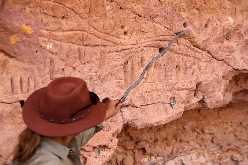 Indigenous engravings of pterosaur bones on the cliff at Turraburra, in western Queensland