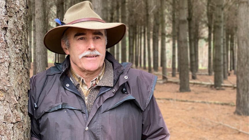 Andrew Stewart leans against a tree in a forest.