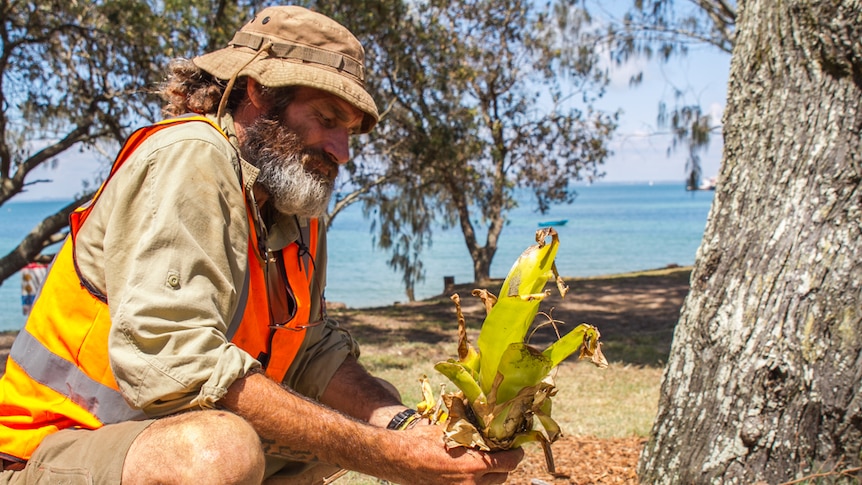 William Smart teaches the young adults about pest management and how to remove non-native vegetation.