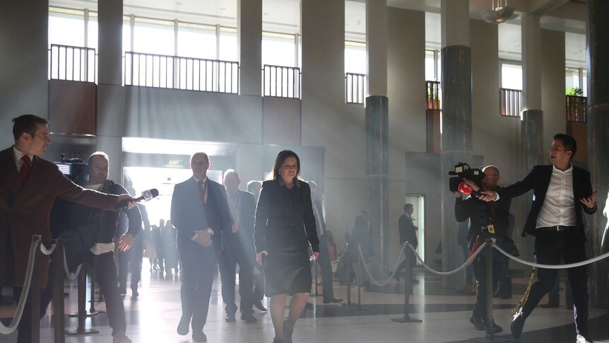 Jacqui Lambie walks into Parliament House, lit from behind, she walks past journalists yelling questions at her