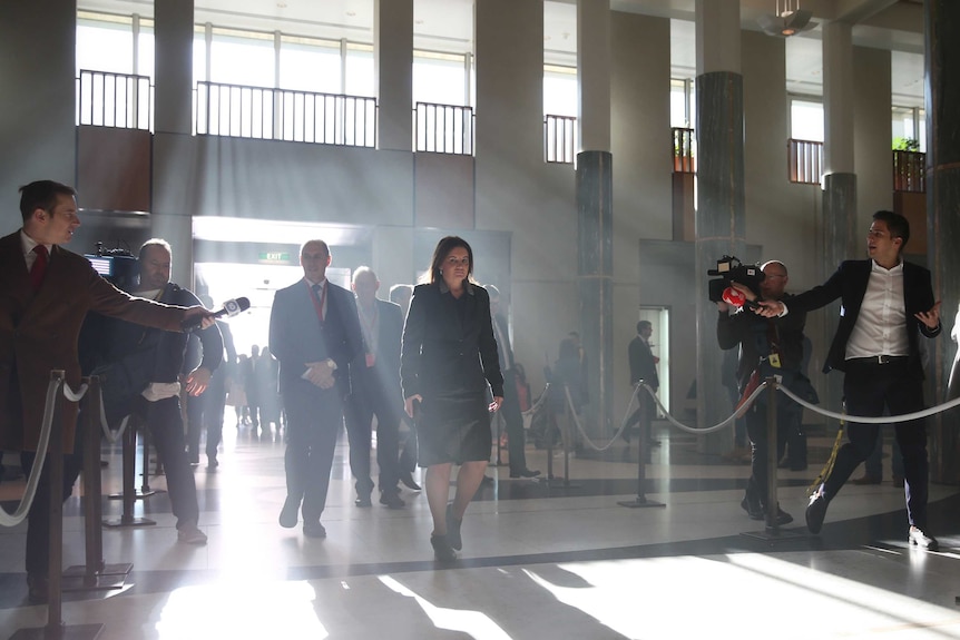 Jacqui Lambie walks into Parliament House, lit from behind, she walks past journalists yelling questions at her