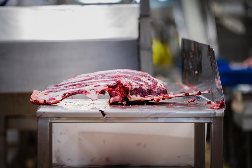 A cut of meat sits on a metal benchtop.