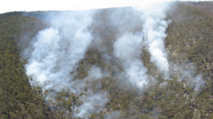 A fire burns through forest