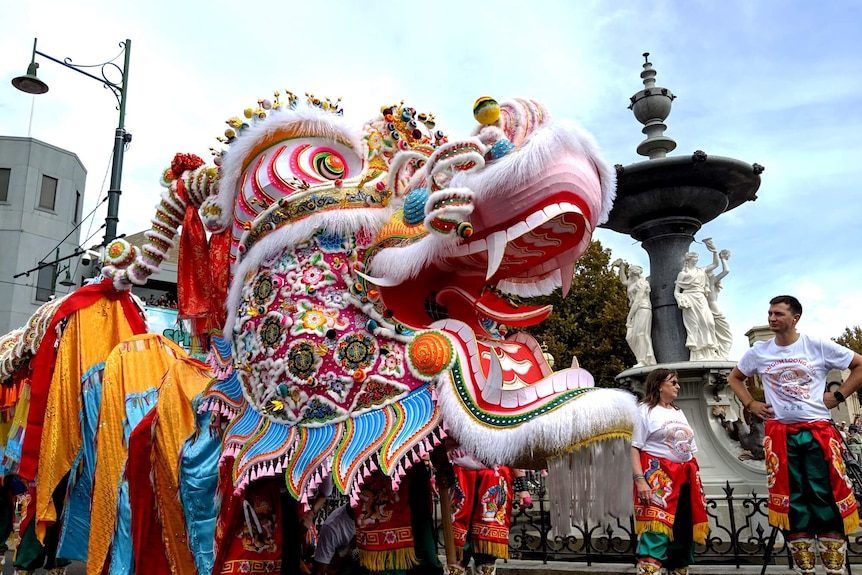 the head of the chinese dragon during parade