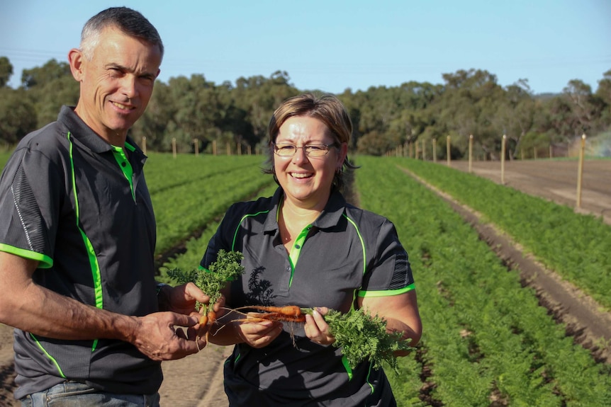 man and woman in a field of carrots and holding carrots