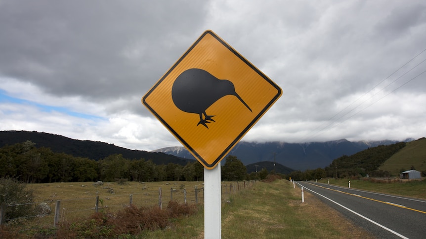 Kiwi crossing in New Zealand