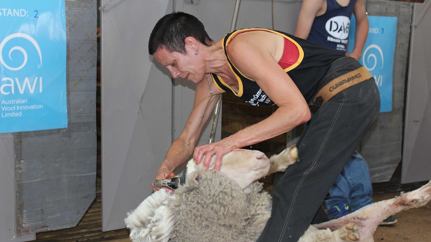 One of Australia's most successful female shearers Cathy Wendleborn