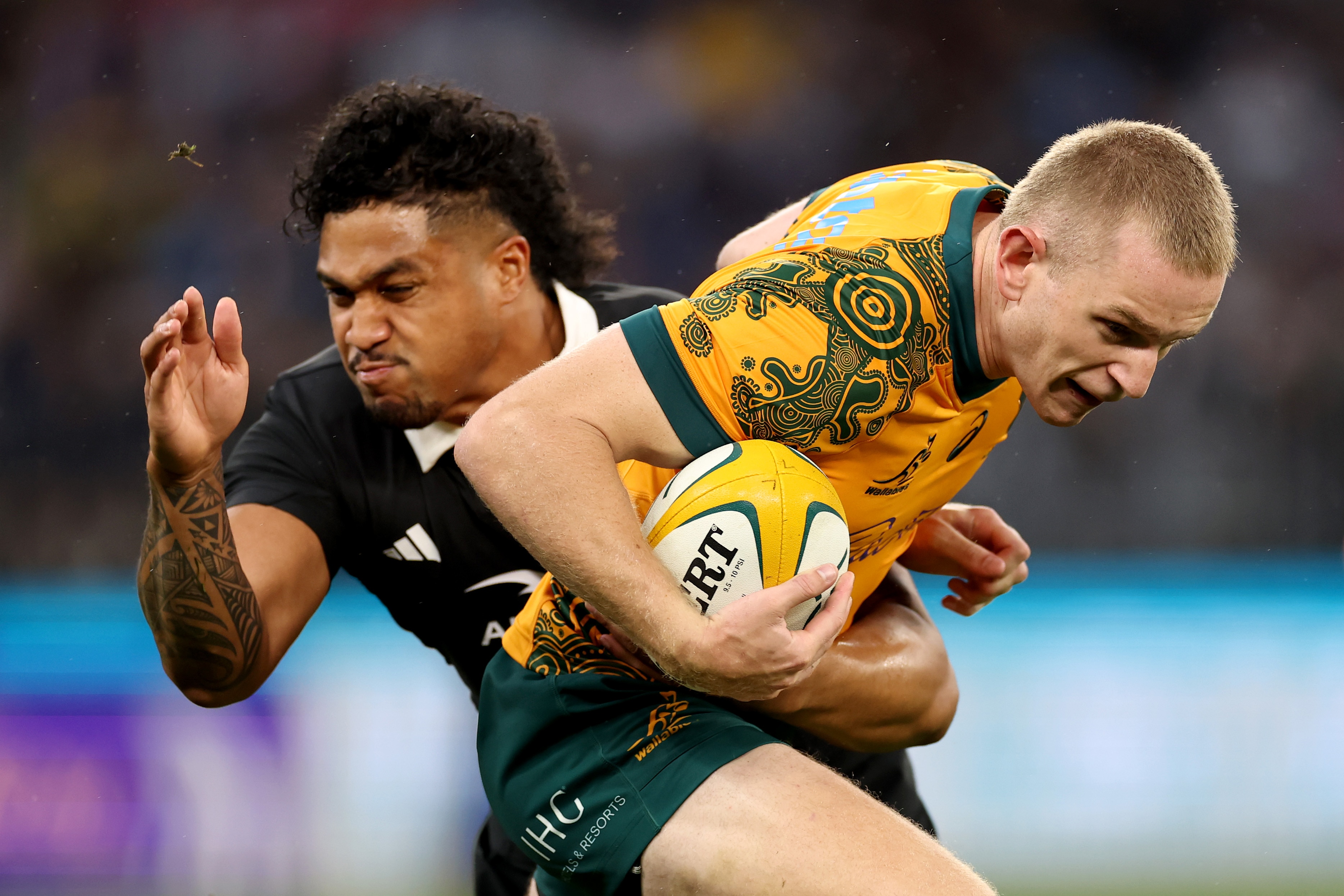 Wallabies and All Blacks locked in for 123-year Bledisloe Cup first