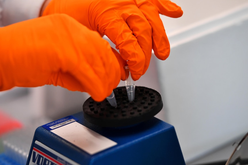 Two orange-gloved hands squeeze pipettes into a black piece of equipment at a sequencing lab