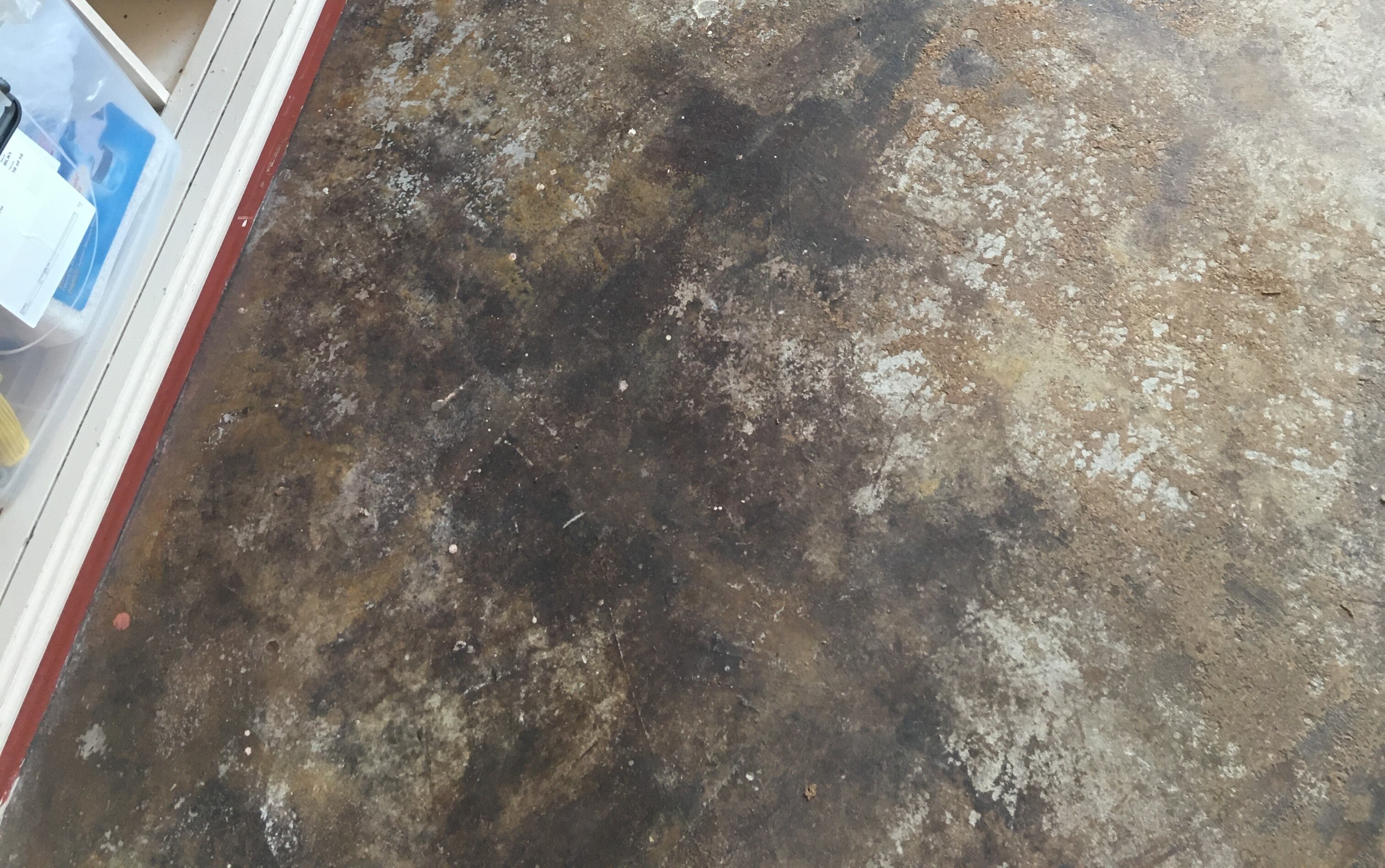  A flood covered with a blackish substance