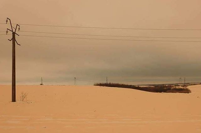 Orange-coloured snow covering a road with power lines over the top.