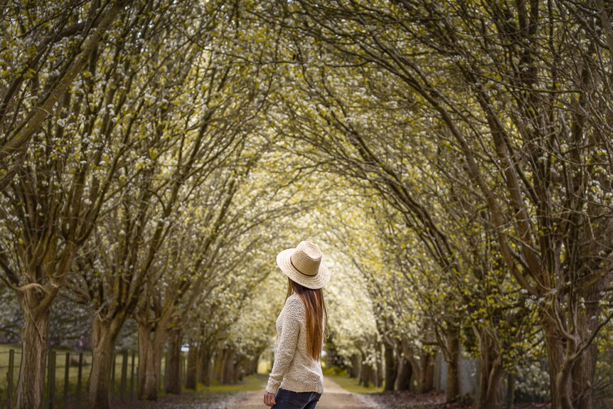 Une femme portant un large chapeau se tient sous un pont d'arbres en fleurs.
