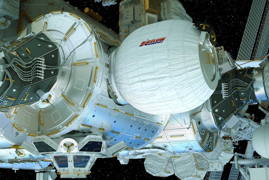 An artists concept of an inflatable space station module, fully inflated.
