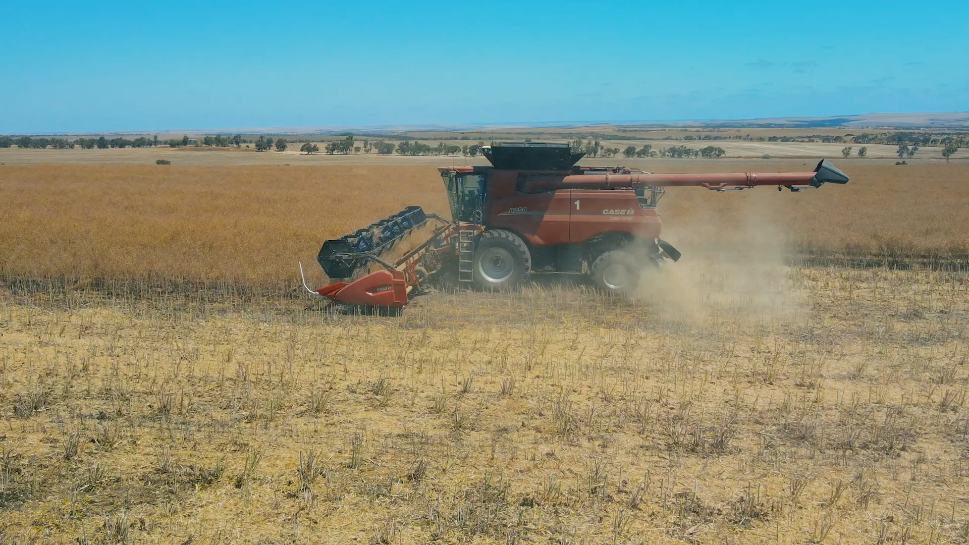A cropping machine in a field throws up dust