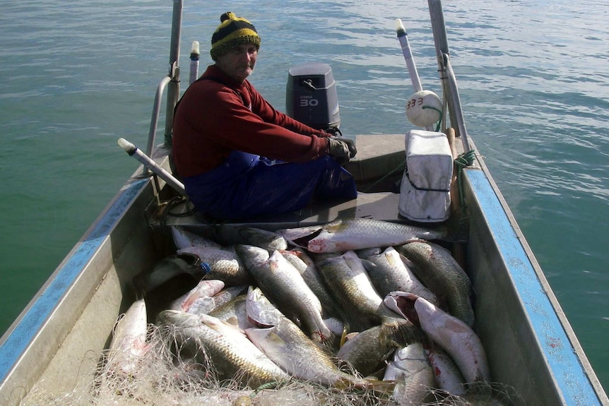 a man in a small boat with a catch of barramundi