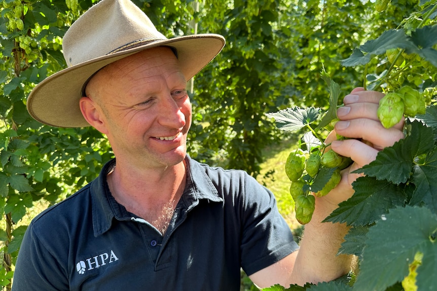 a  man with a hat holding a hop plant.