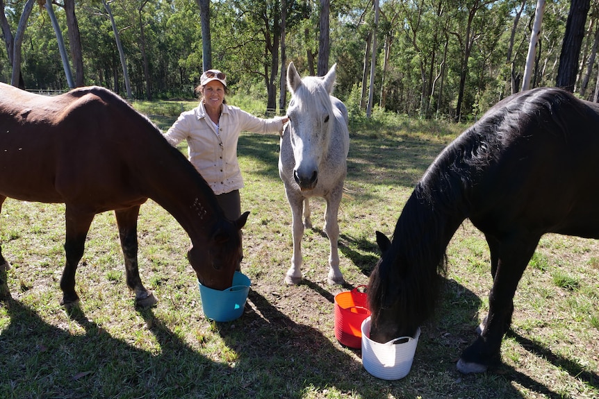 A man stands between three horses in a paddock.