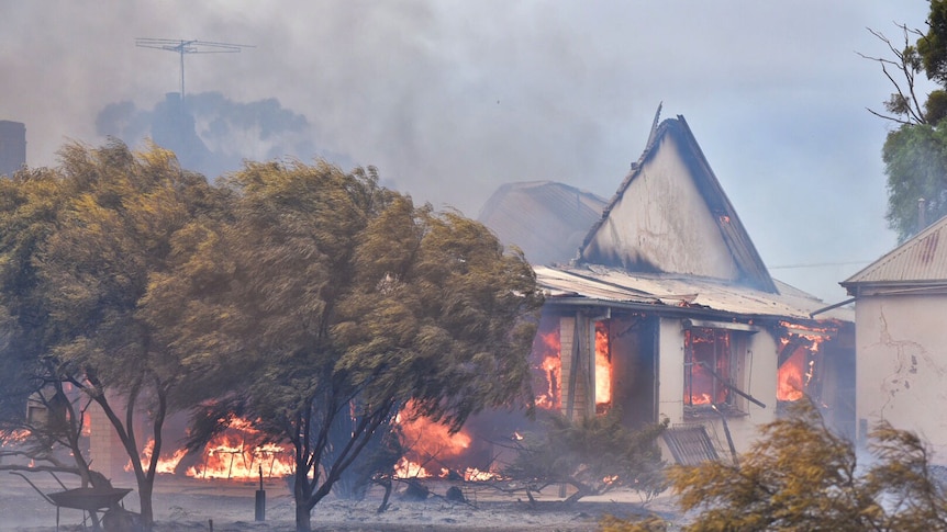 House burns at Wasleys in a big bushfire