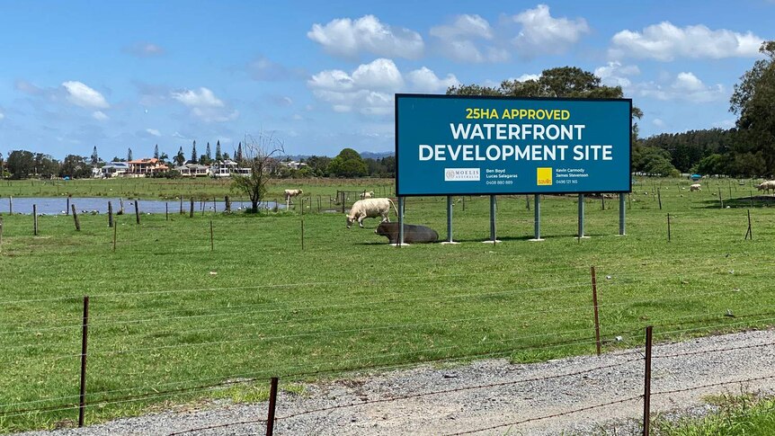 Known as The Cow Paddock, a 25-hectare development site at Carrara.