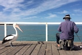 A pelican stands close to a fisherman, seated with back to camera, as he prepares his line while fishing off the a jetty.