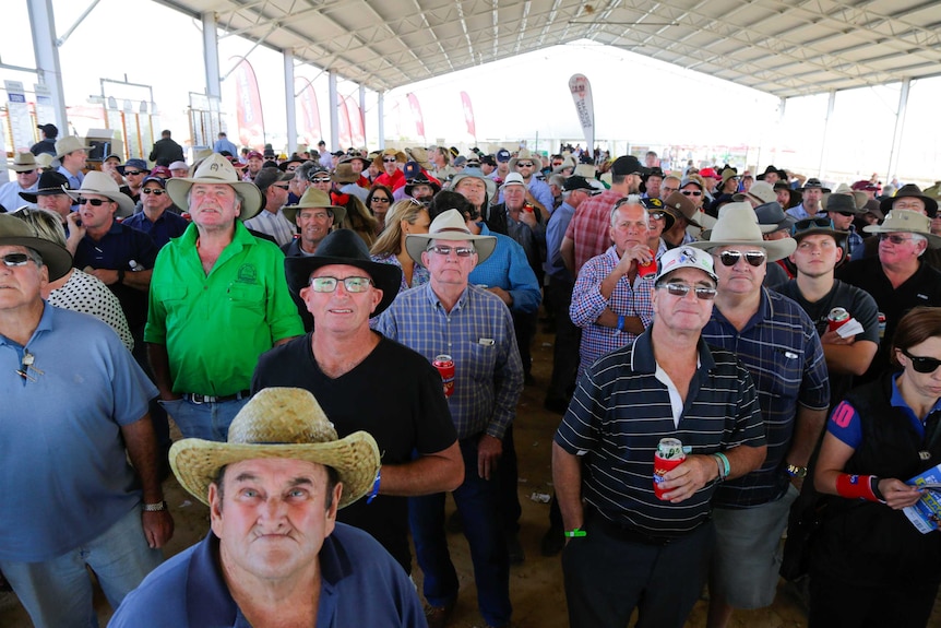 Crowds at the phantom race day at the Birdsville Races