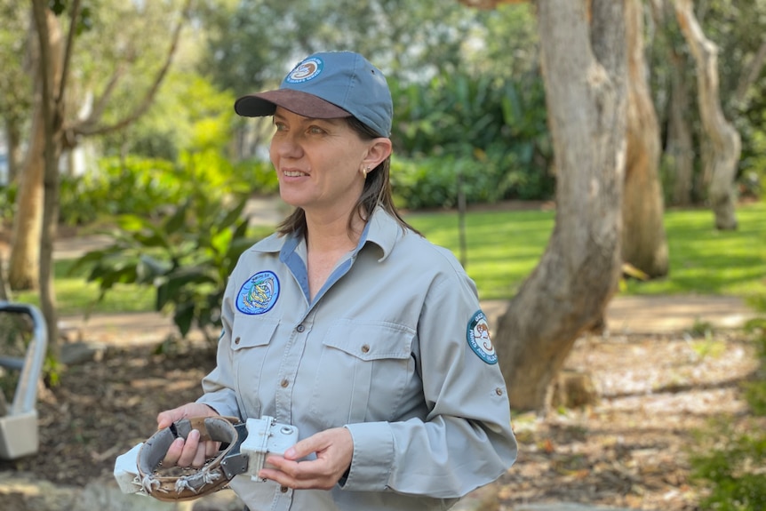 A woman in a park ranger's uniform stands in bushland, holding a tracking collar.