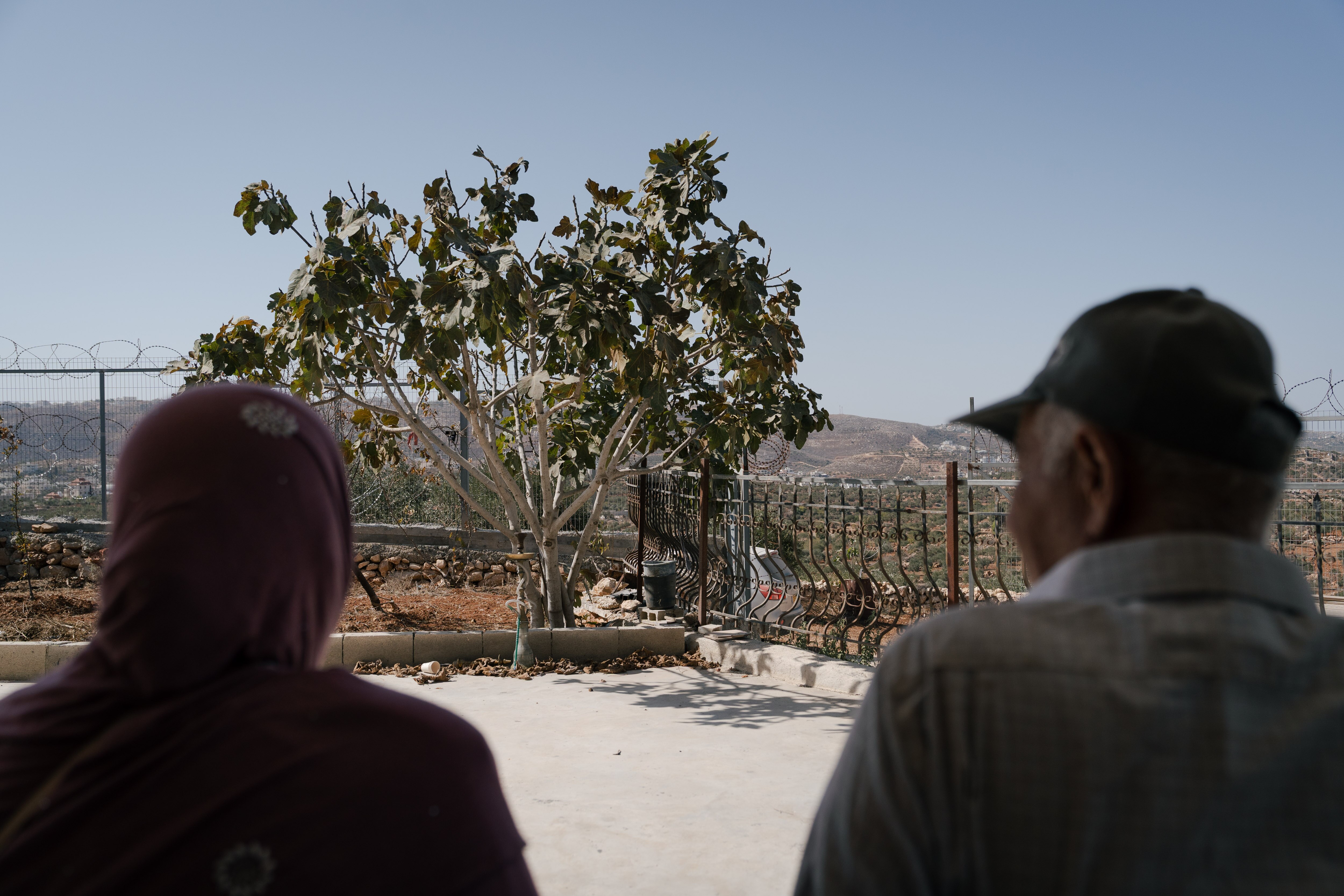 a man and woman looking towards a tree and distant mountains