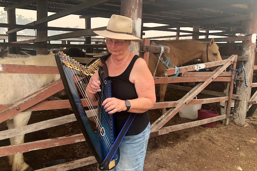 A lady wearing a wide-brimmed hat plays a harp in front of a horse in a stable.