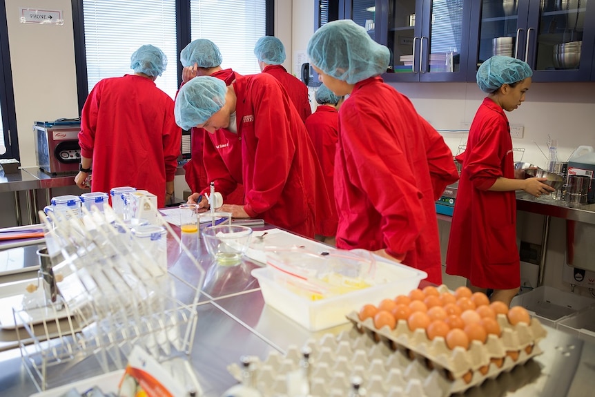 University students in red lab coats in a laboratory in the University of Sydney