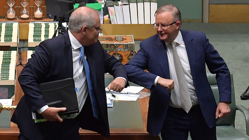 albanese and morrison