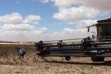 A harvester on a property with television crew.