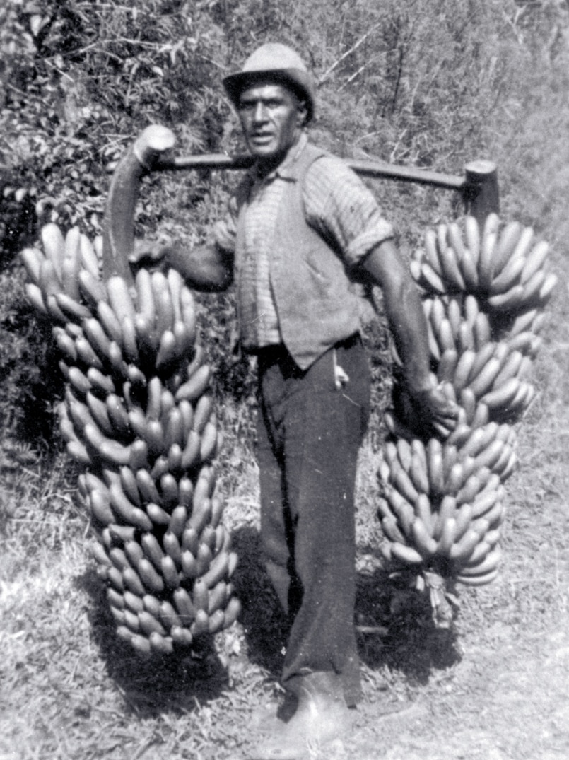 South Sea Island descendant Arthur Toar carrying two very large bunches of bananas over each shoulder