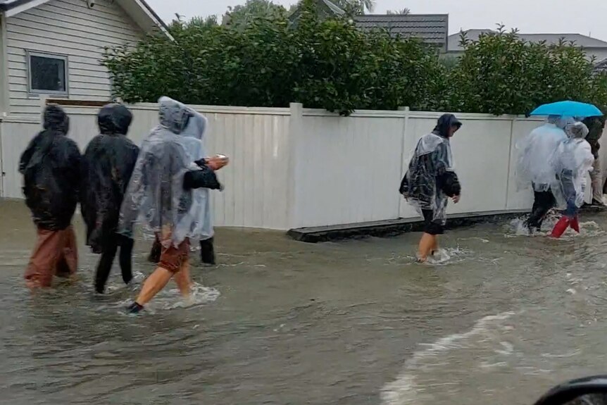 people dressed in ponchos walk along a flooded street in Auckland