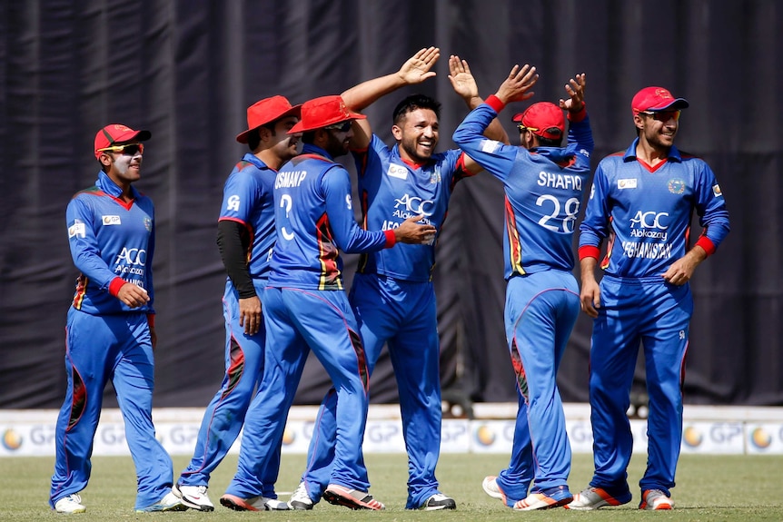 Afghanistan celebrates a wicket during and ODI against Ireland.