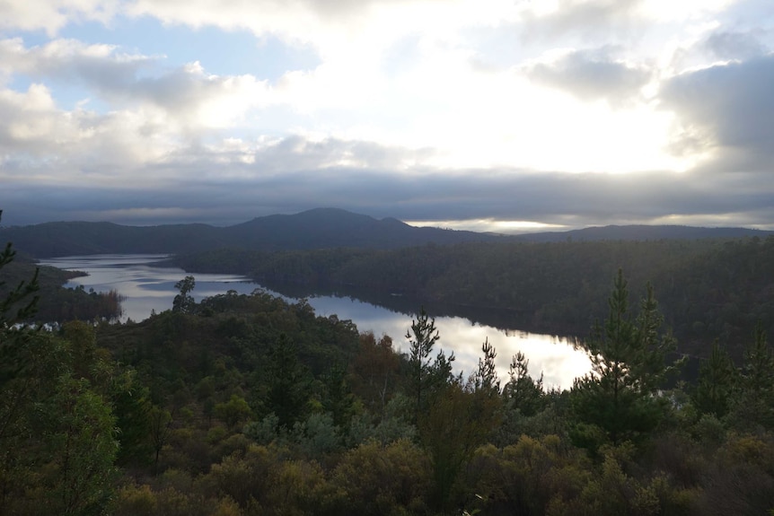 A restricted area of the lower Cotter River catchment.