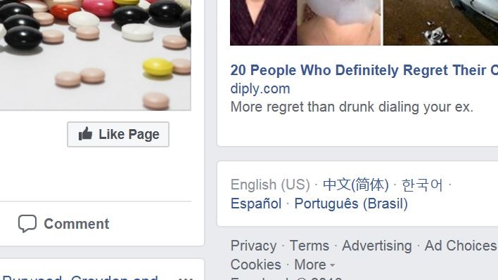 A random crop of a section of a Facebook page, showing the link to privacy information, and a "Like" button
