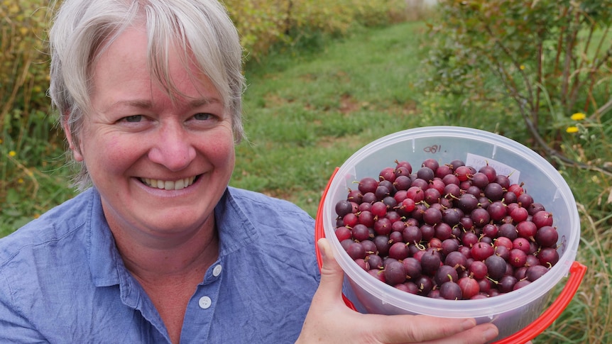 A woman with short hair smiling as she holds up a bucket filled with gooseberries.