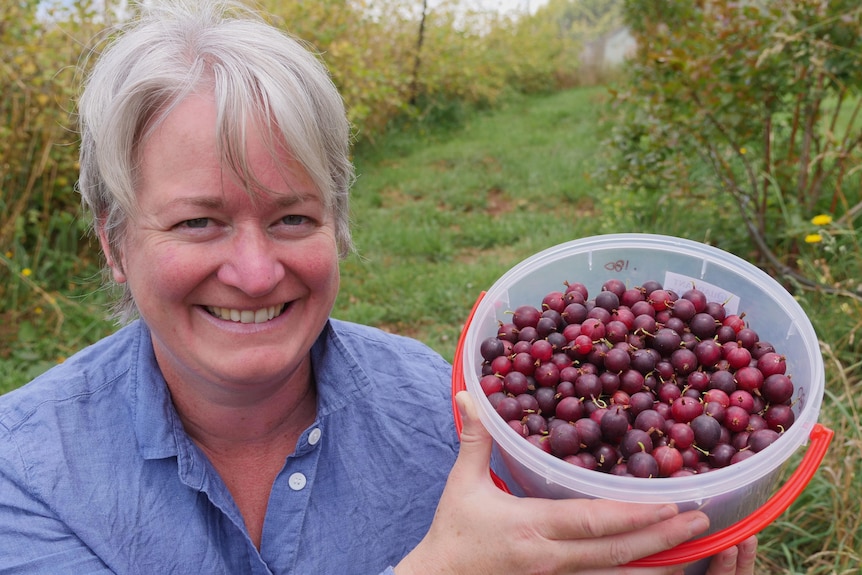 A woman with short hair smiling as she holds up a bucket filled with gooseberries.