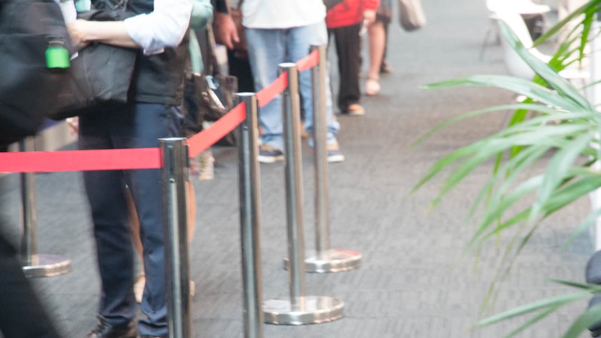 People line up inside a hallway, viewed waist down. Plant in foreground.