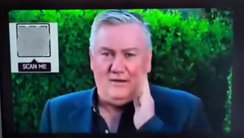 A still shot of a tv screen which shows Eddie McGuire in a blue suit in front of a green bush with a QR code on screen.