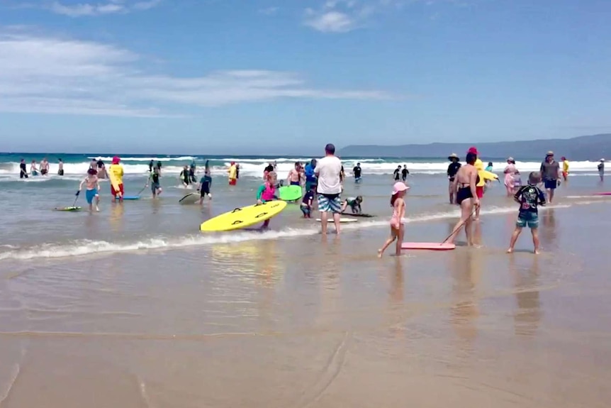 Swimmers leave water after shark sighting at Victoria's Fairhaven Beach