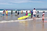 Swimmers leave water after shark sighting at Victoria's Fairhaven Beach