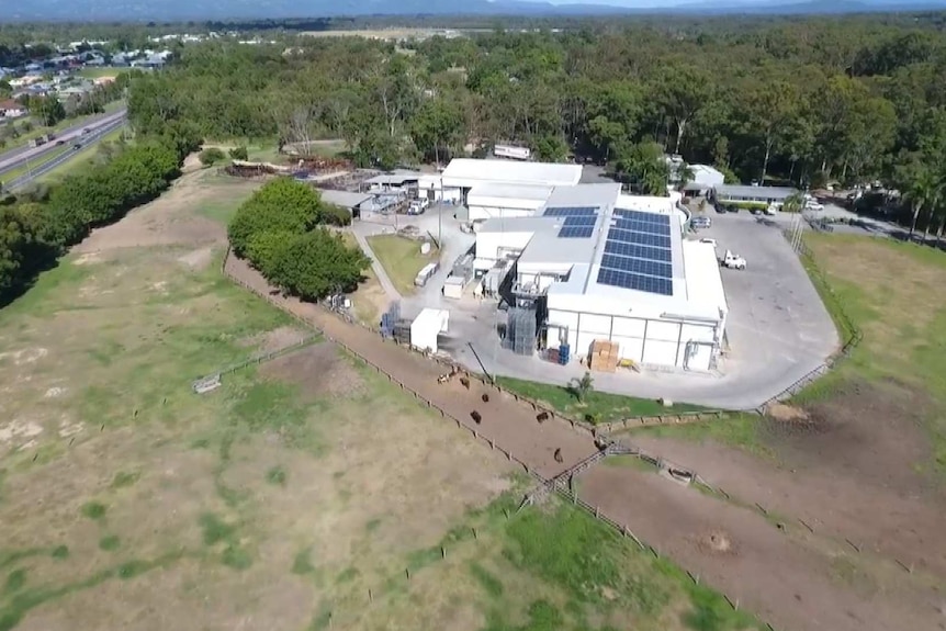 Aerial of Meramist Abattoir surrounded by open paddock