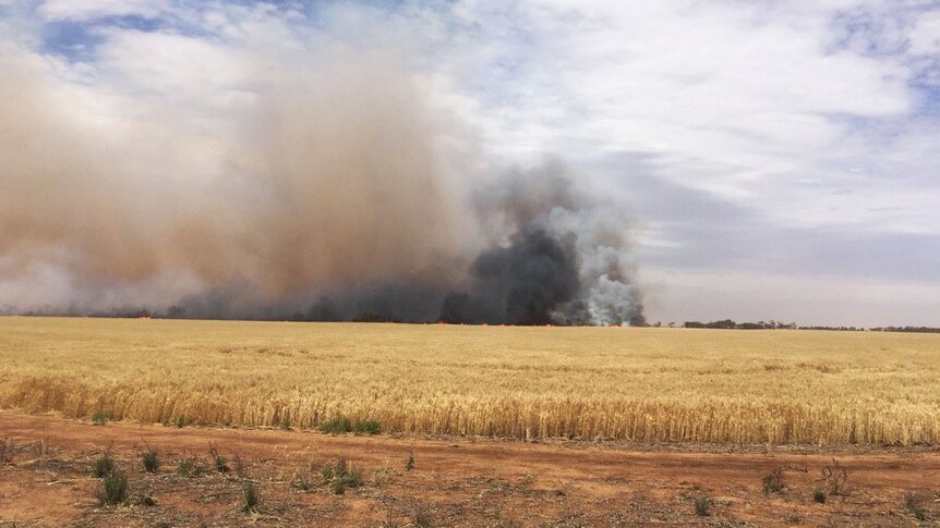 Fire burns in crops in the Mallala area