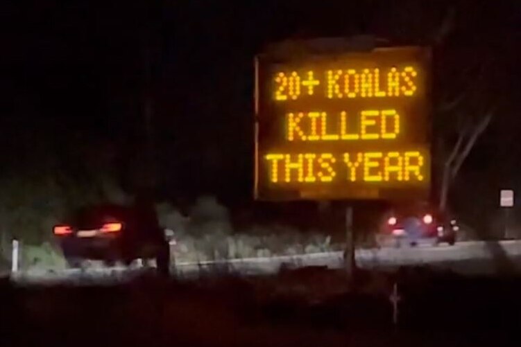 Message sign saying about koala deaths on Appin Road
