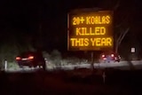Message sign saying about koala deaths on Appin Road