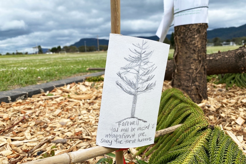 A farewell note left at the site where a tree has been chopped down